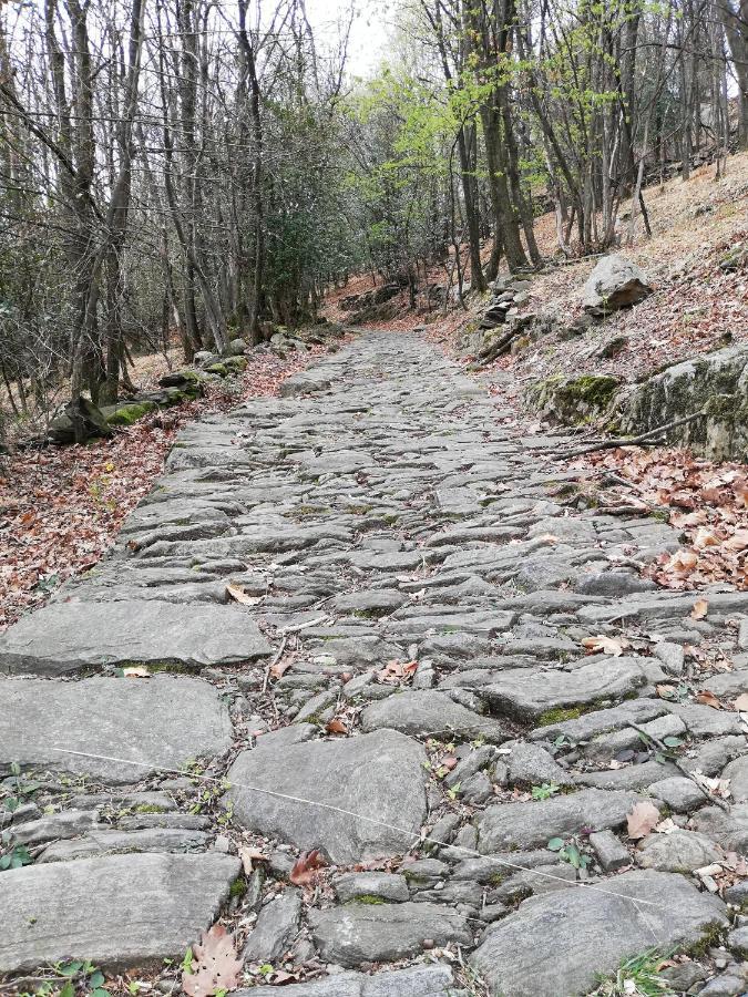 La Rosa Rossa Daire Cambiasca Dış mekan fotoğraf
